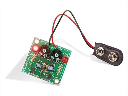 KNIPPERENDE-LEDs-(WSI102)