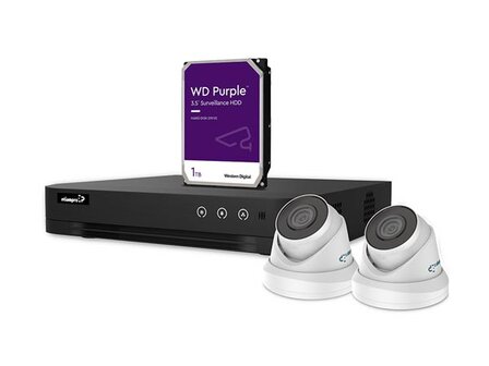 IP-VIDEOBEWAKINGSSET---4-KANAALS-NVR-RECORDER---2-x-WITTE-IP-DOME-CAMERA---1-TB-HD---KABELS-(CCTVPROM20W)